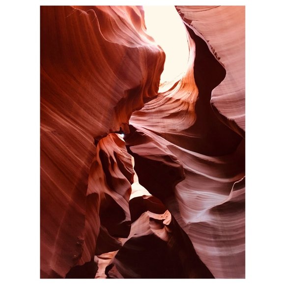 Meet your Posher, StylishDaisy - Picture 5 of 5